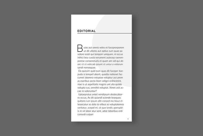 Digital Magazine Layout Template - Features Image 3