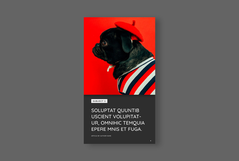 Digital Magazine Layout Template - Features Image 9