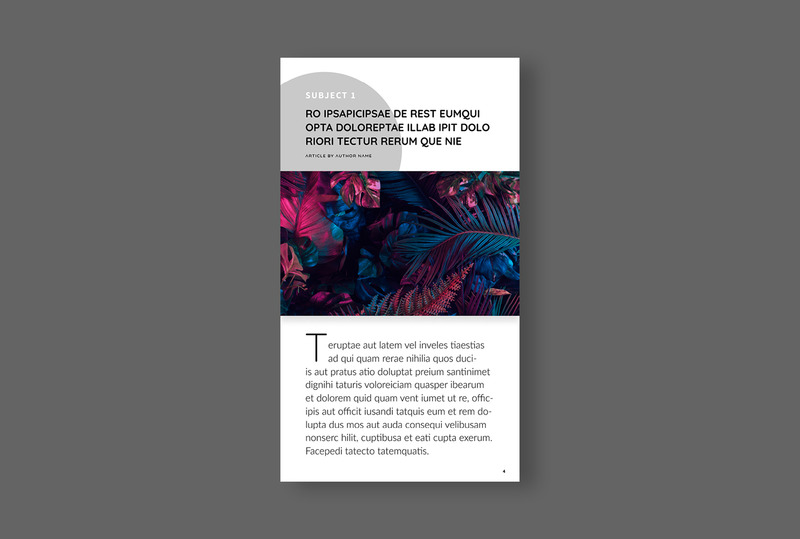 Digital Magazine Layout Template - Features Image 4