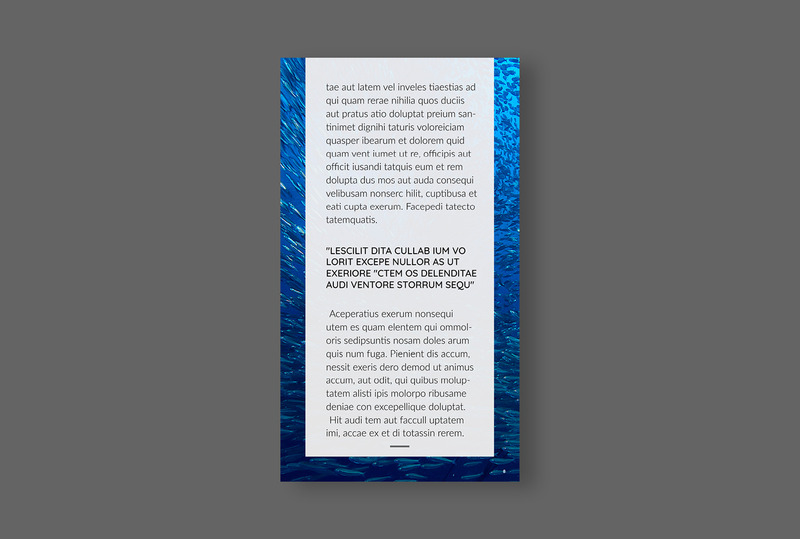 Digital Magazine Layout Template - Features Image 8