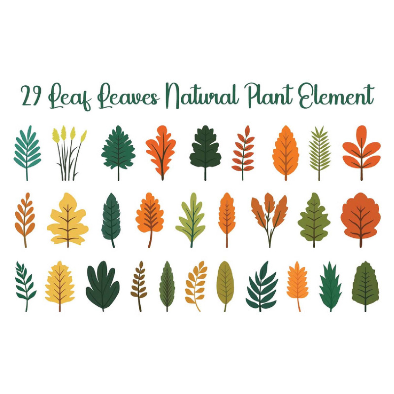 29 Feuilles Élément végétal naturel - Caractéristiques de l’image 1