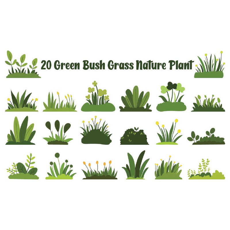 20 Green Bush Grass Nature Plant - Features Image 1