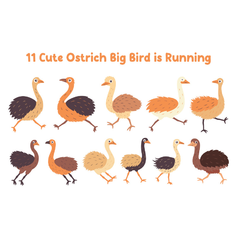 11 Милый страус Большая птица бежит - Features Image 1