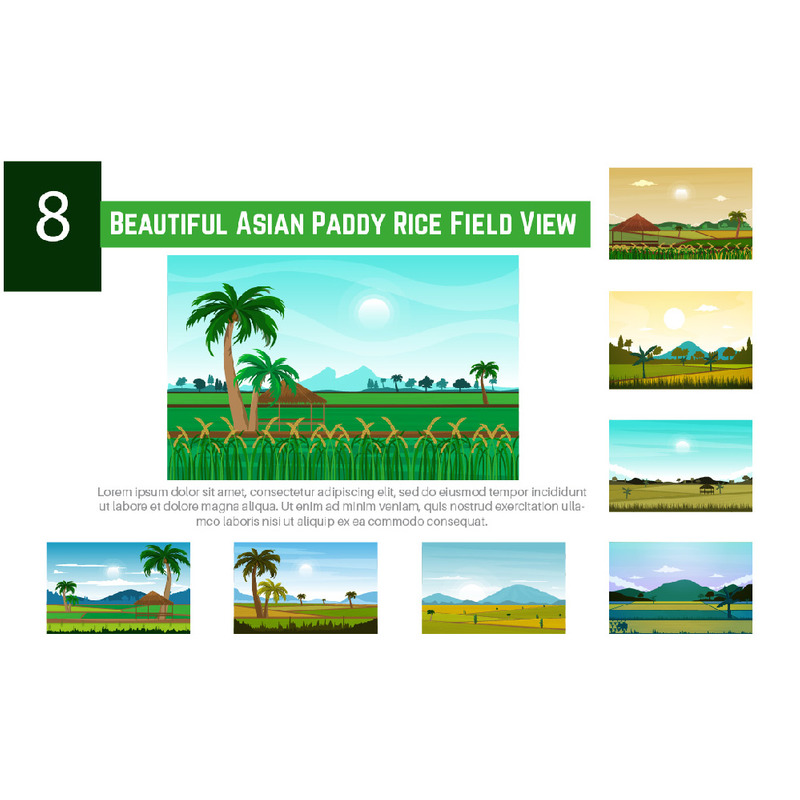 8 Vacker asiatisk risfältsvy - Features Image 1