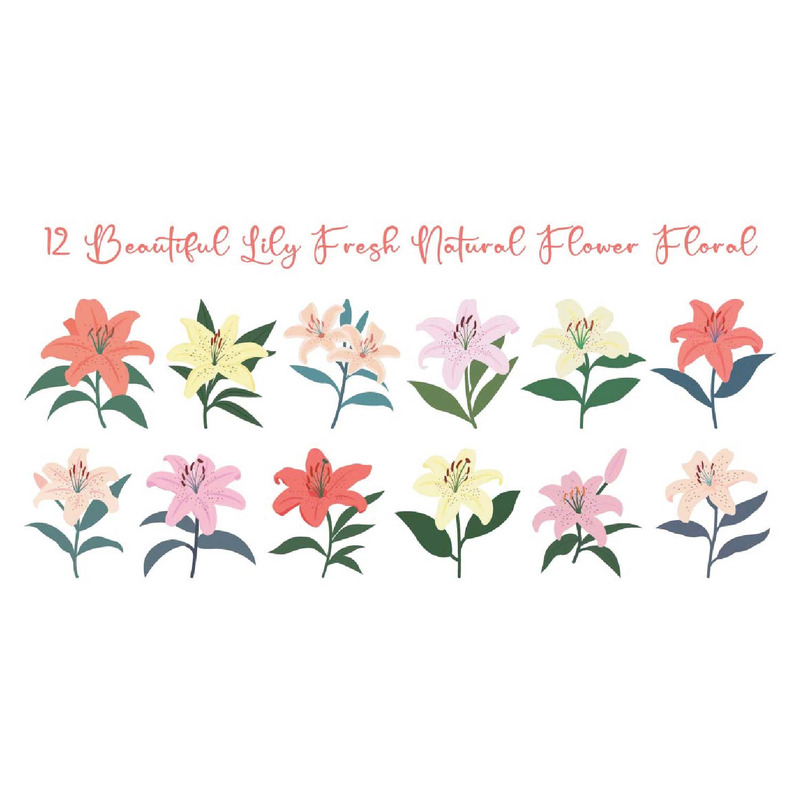 12 vackra liljor färska naturliga blommor - Features Image 1