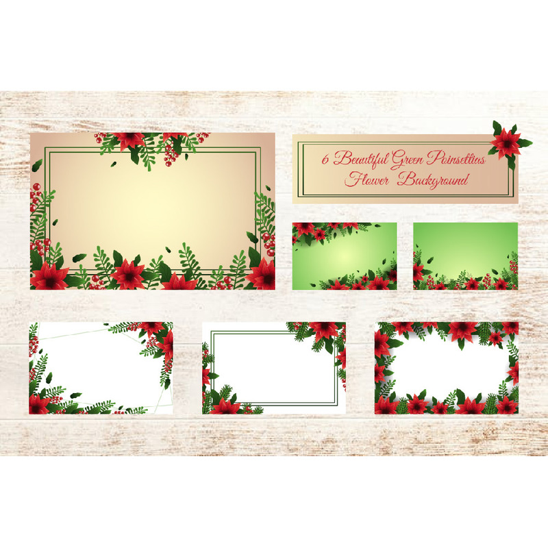 6 lindos fundos de flores de poinsétias verdes - Features Image 1