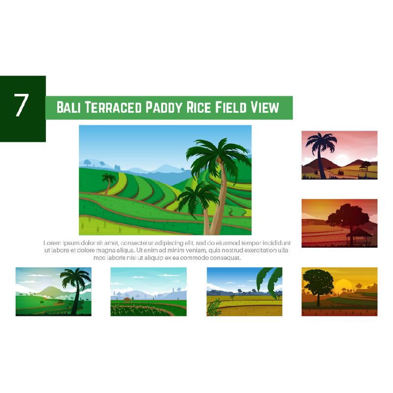7 Bali Terraced Paddy Rice Field View - Features Image 1