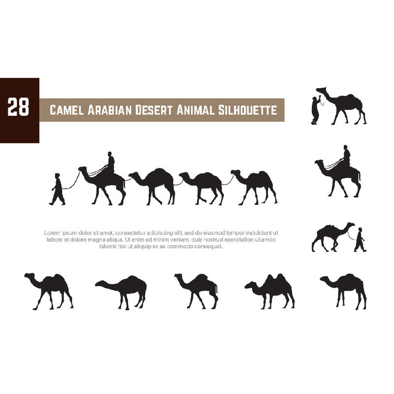28 Silhouette di animali del deserto arabo del cammello - Caratteristiche Immagine 1