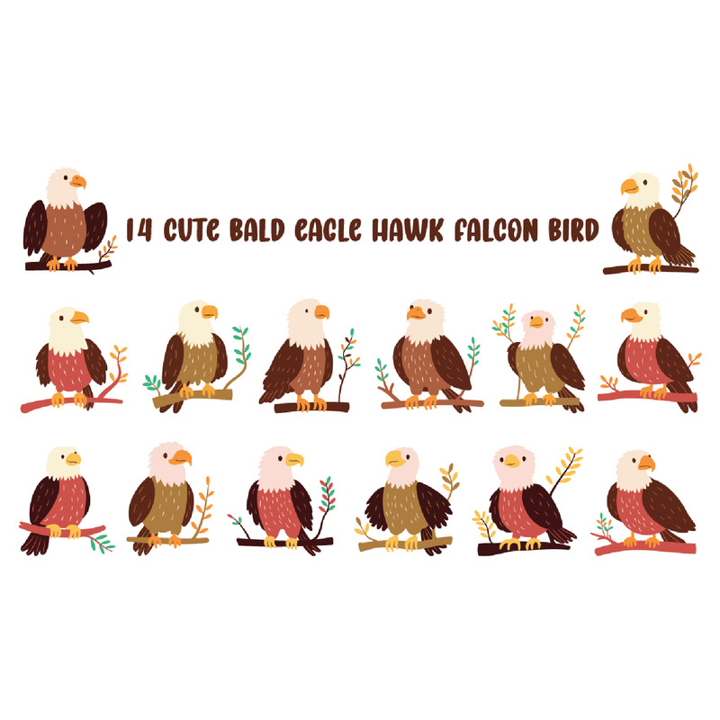 14 Söt Bald Eagle Hawk Falcon Bird - Features Image 1