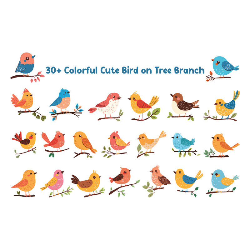 30+ oiseaux mignons et colorés sur une branche d'arbre - Caractéristiques de l’image 1