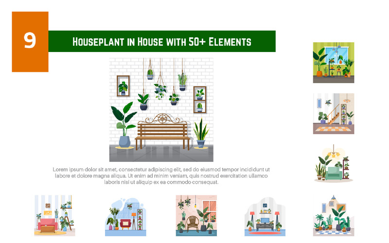 9 krukväxt i hus med 50+ element - illustration - Features Image 1