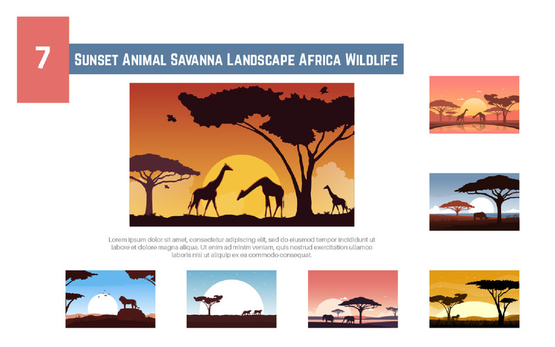 7 coucher de soleil animal savane paysage afrique faune - Caractéristiques de l’image 1