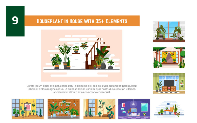 9 Zimmerpflanze im Haus mit mehr als 35 Elementen - Abbildung - Eigenschaften Bild 1