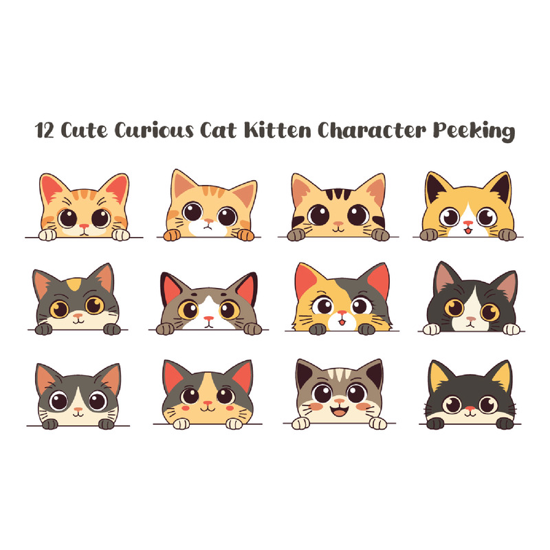 12 söt nyfiken katt kattunge kikar - Features Image 1