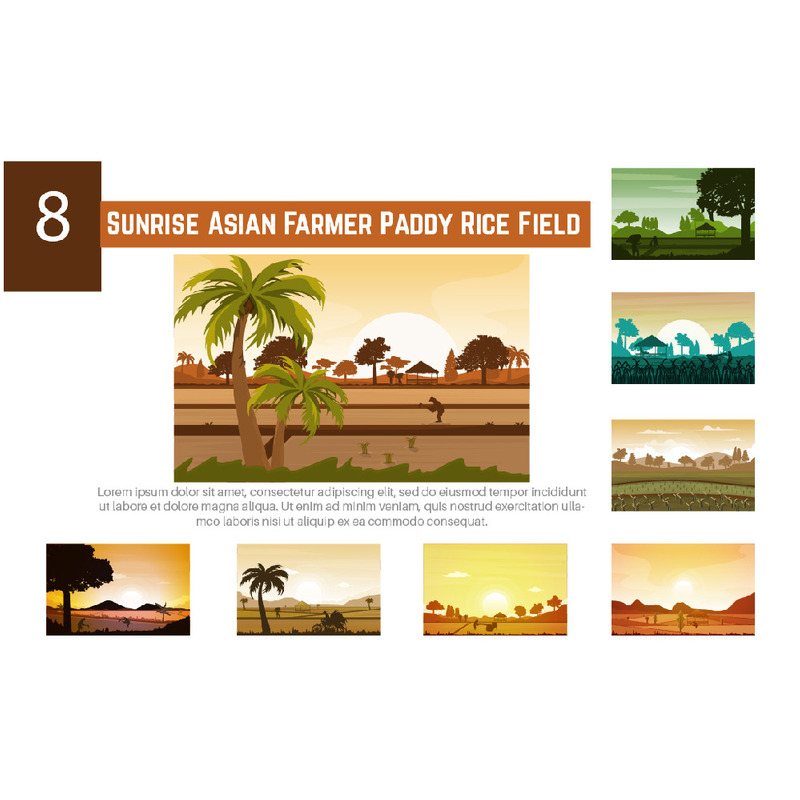 8 Sunrise Asian Farmer Paddy Rice Field - Features Image 1