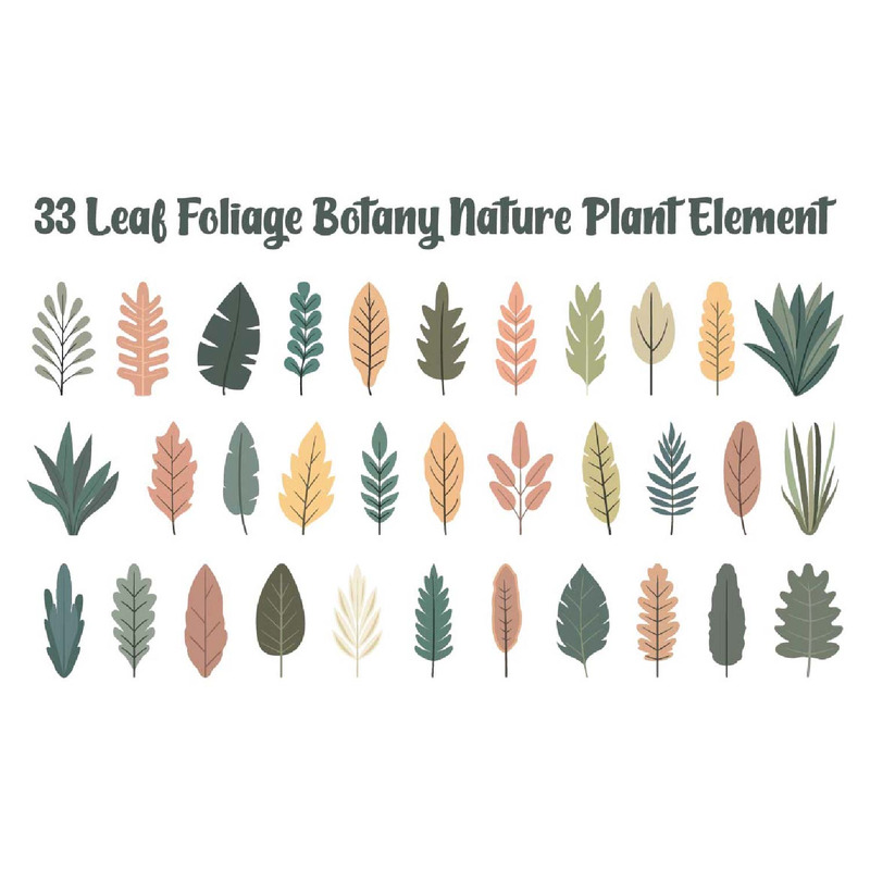33 Blad Lövverk Botanik Natur Växtelement - Features Image 1