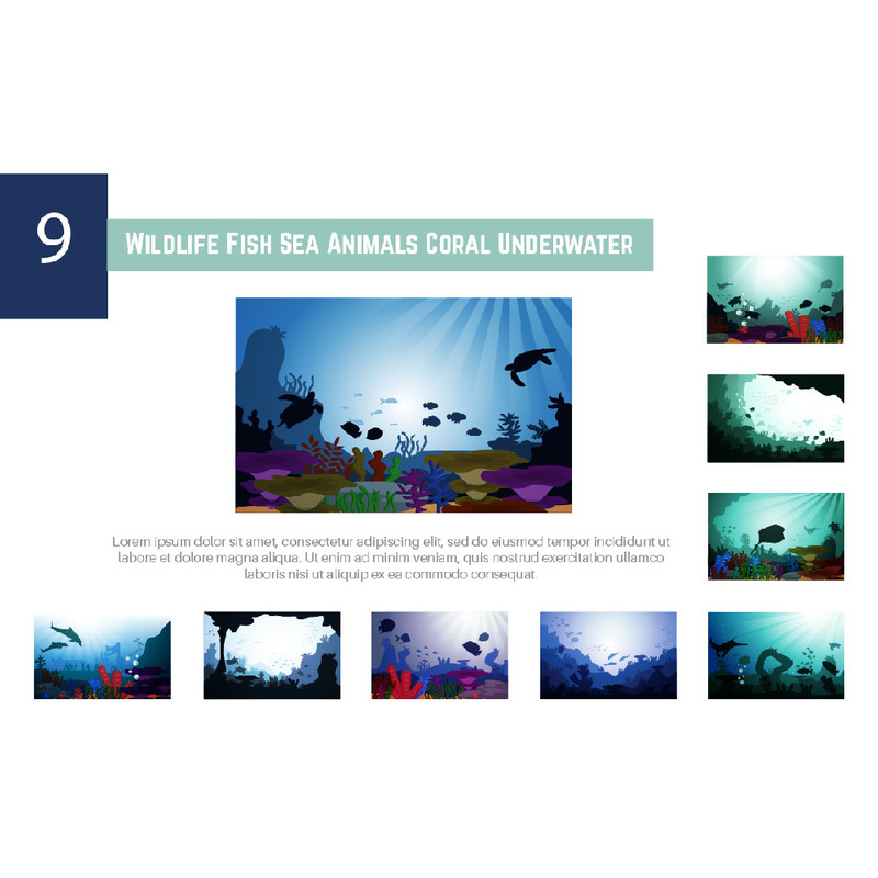 9 Wildlife Fish Sea Animals Coral Underwater - Features Image 1