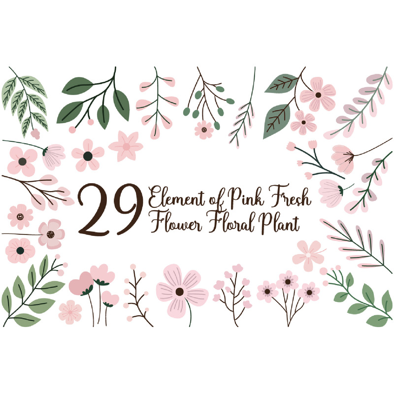 29 element av rosa färsk blomma växt - Features Image 1