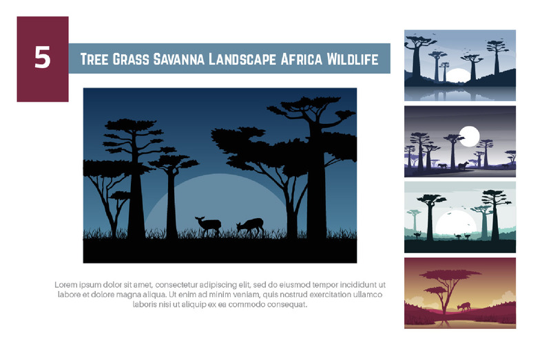 5 Albero Erba Savana Paesaggio Africa Fauna selvatica - Caratteristiche Immagine 1