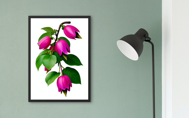 Aquarelle Fleur Fuchsia PNG Vol.3 - Caractéristiques de l’image 3