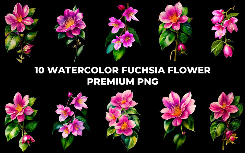 Paquete PNG de flor fucsia acuarela - Características Imagen 4
