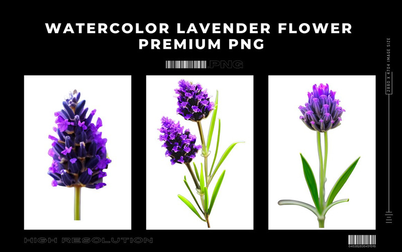 Watercolor Lavender Flower PNG Bundle - Features Image 11