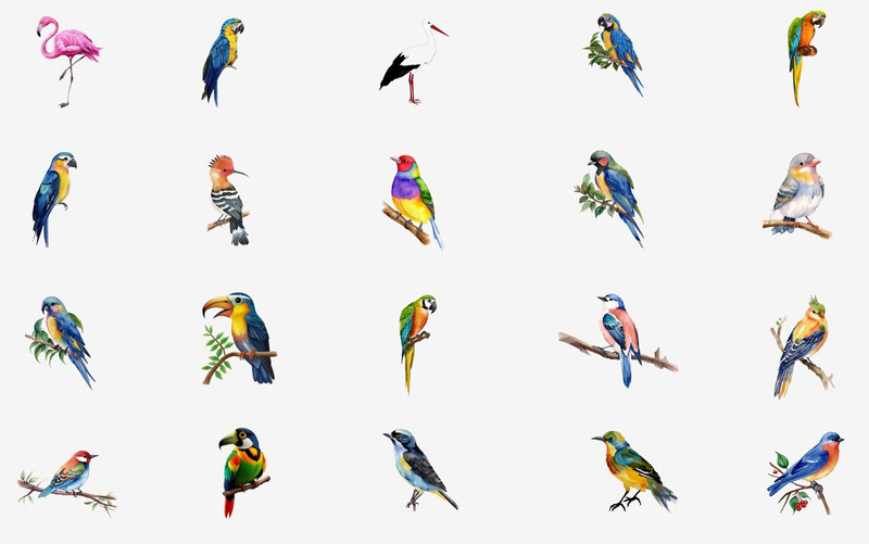 53 Watercolor Birds PNG Clipart - Features Image 5