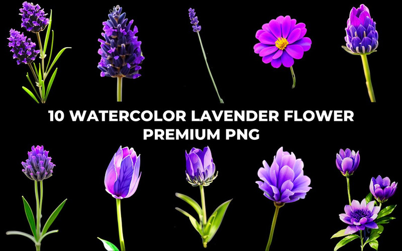 Watercolor Lavender Flower PNG Bundle - Features Image 10