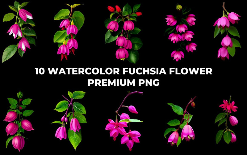 Paquete PNG de flor fucsia acuarela - Características Imagen 13