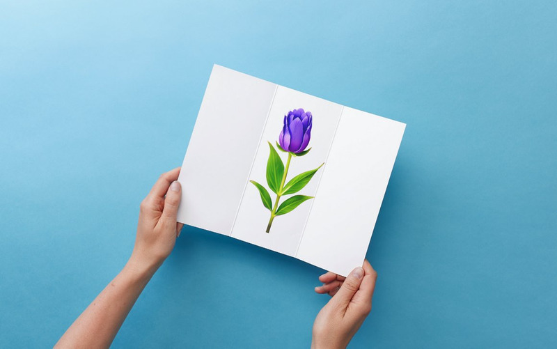 Watercolor Lavender Flower PNG Bundle - Features Image 12