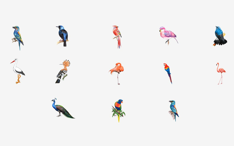53 Watercolor Birds PNG Clipart - Features Image 4