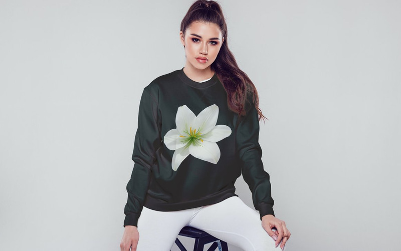 70 White Lily Flower PNG Clipart - Features Image 2