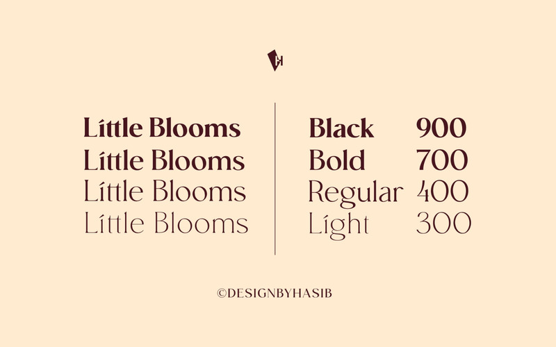 Little Blooms – Elegant Serif Font - Features Image 6