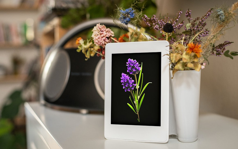 Watercolor Lavender Flower PNG Bundle - Features Image 9
