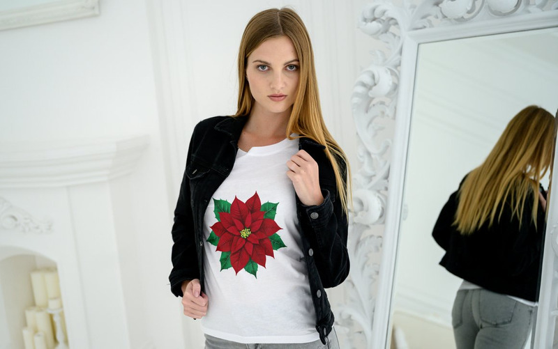 Aquarela, poinsétia, flor Clipart - Features Image 8