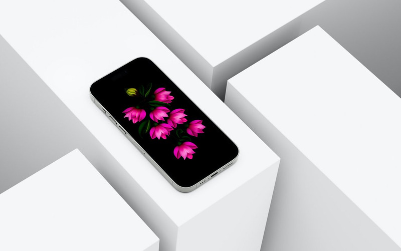 Paquete PNG de flor fucsia acuarela - Características Imagen 11