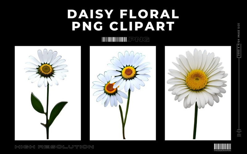 Papatya Çiçek Premium PNG Paketi - Features Image 10