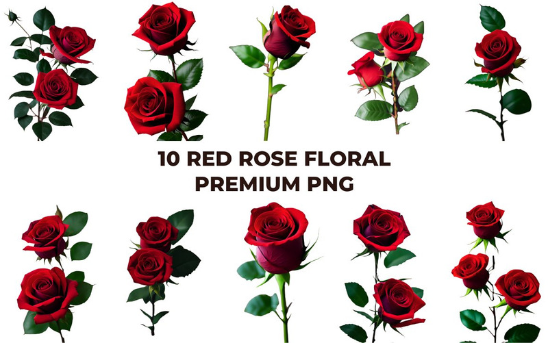 Paquete PNG premium floral rosa roja - Características Imagen 7
