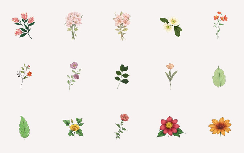 Handgezeichnete Blätter und Blumen Clipart - Eigenschaften Bild 7
