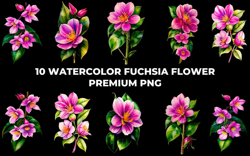 Paquete PNG de flor fucsia acuarela - Características Imagen 6