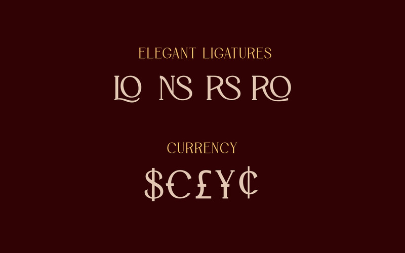 Saint Paris - Elegant Serif-typsnitt - Features Image 5