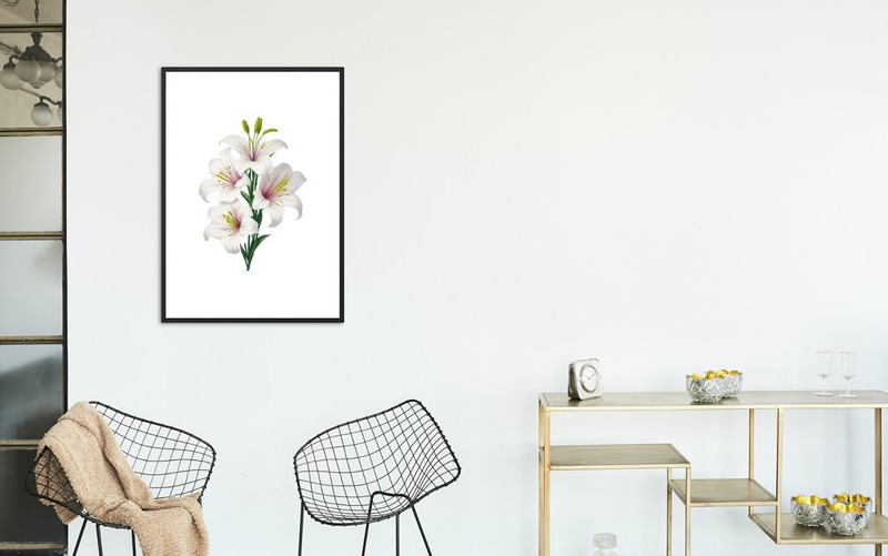 70 White Lily Flower PNG Clipart - Features Image 3