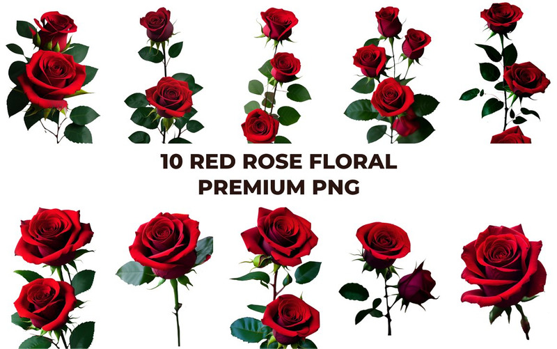 Paquete PNG premium floral rosa roja - Características Imagen 9