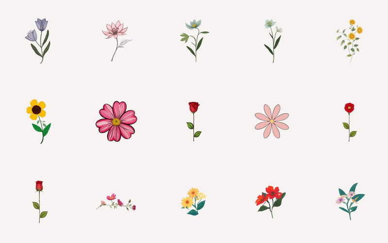 Handgezeichnete Blätter und Blumen Clipart - Eigenschaften Bild 9