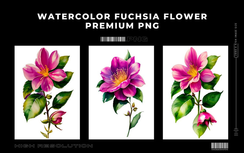 Paquete PNG de flor fucsia acuarela - Características Imagen 3