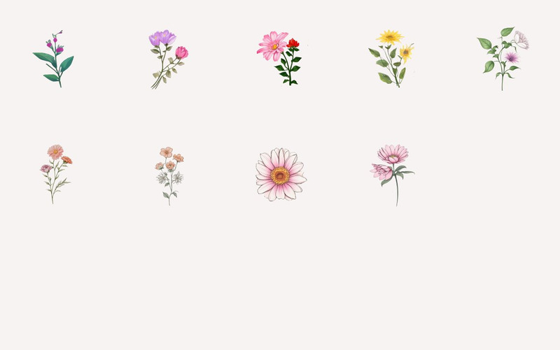 Handgezeichnete Blätter und Blumen Clipart - Eigenschaften Bild 5
