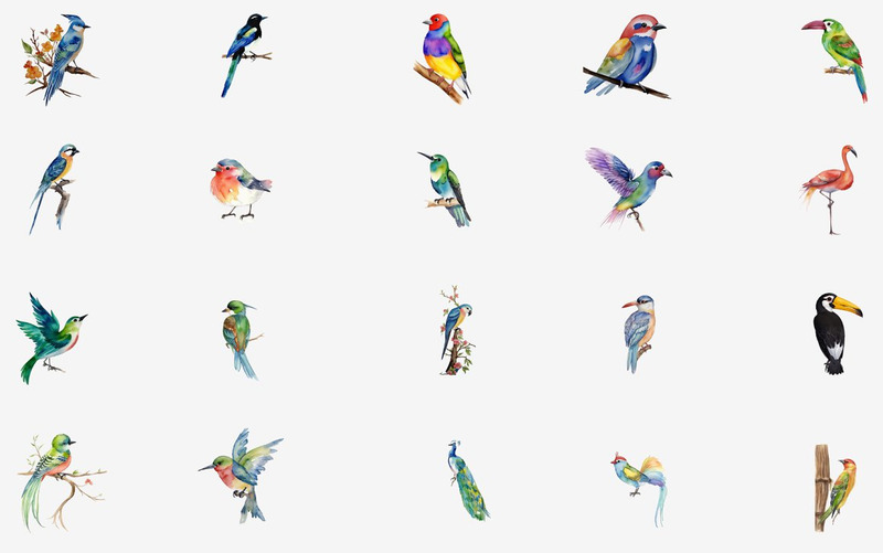 53 Watercolor Birds PNG Clipart - Features Image 6