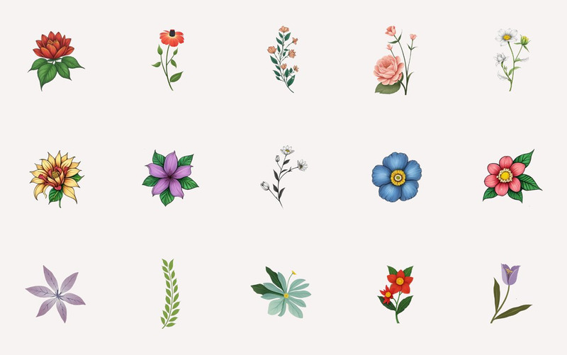 Handgezeichnete Blätter und Blumen Clipart - Eigenschaften Bild 6