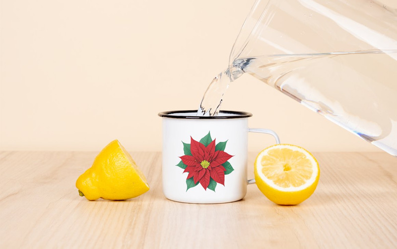 Aquarela, poinsétia, flor Clipart - Features Image 6