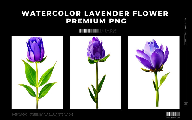 Watercolor Lavender Flower PNG Bundle - Features Image 13